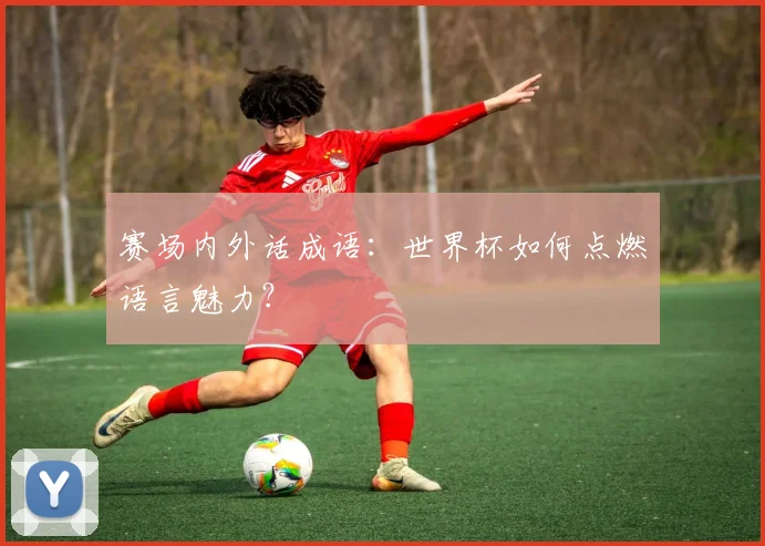 赛场内外话成语：世界杯如何点燃语言魅力？