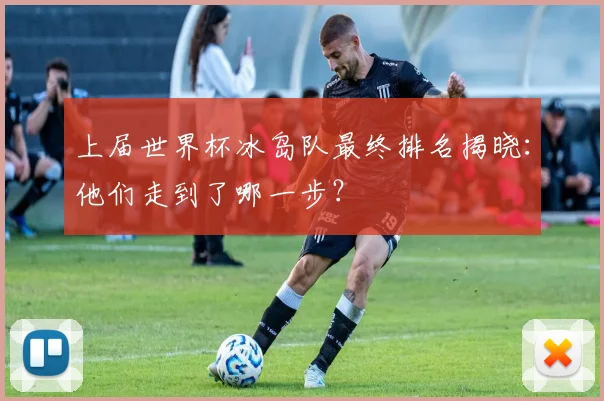 上届世界杯冰岛队最终排名揭晓：他们走到了哪一步？