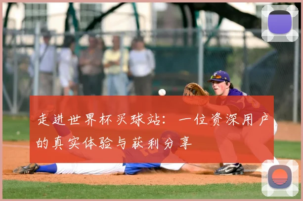 走进世界杯买球站：一位资深用户的真实体验与获利分享