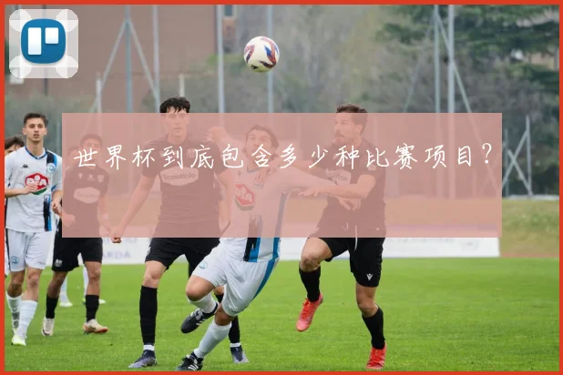 世界杯到底包含多少种比赛项目?
