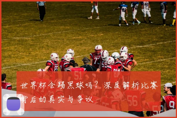 世界杯会踢黑球吗?深度解析比赛背后的真实与争议