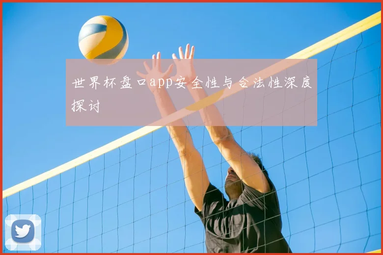 世界杯盘口app安全性与合法性深度探讨