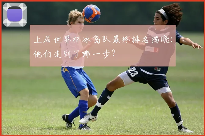 上届世界杯冰岛队最终排名揭晓：他们走到了哪一步？