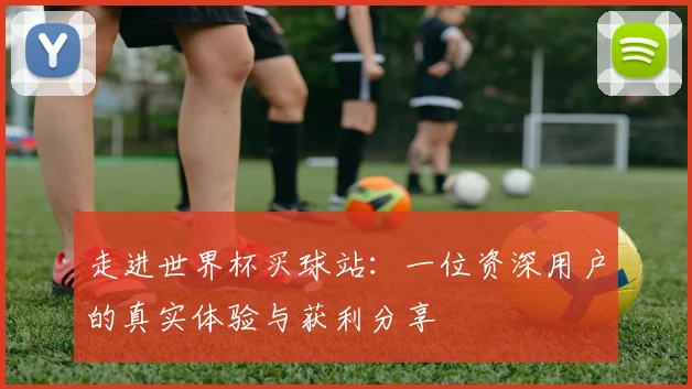 走进世界杯买球站：一位资深用户的真实体验与获利分享