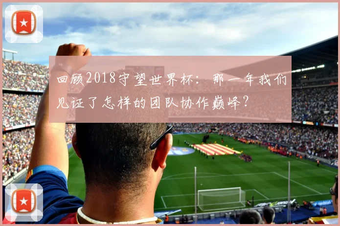 回顾2018守望世界杯：那一年我们见证了怎样的团队协作巅峰？
