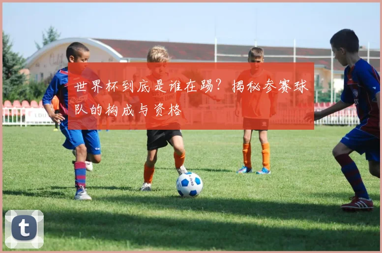 世界杯到底是谁在踢?揭秘参赛球队的构成与资格