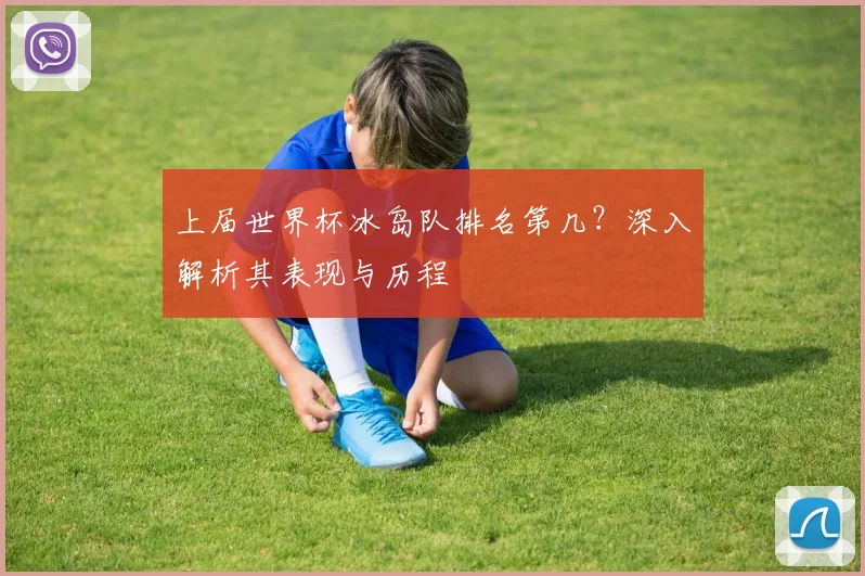 上届世界杯冰岛队排名第几?深入解析其表现与历程